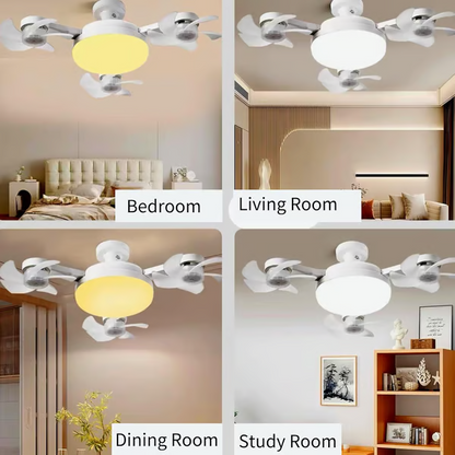 24-Hour Flash Deal⏰Ceiling Fan Light with Remote Control💡❄️