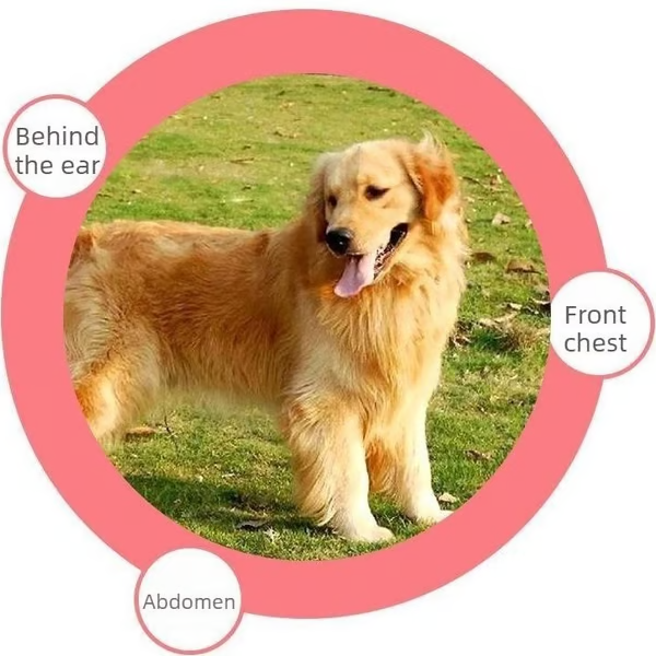 🐶 Universal Pet Detangling Comb
