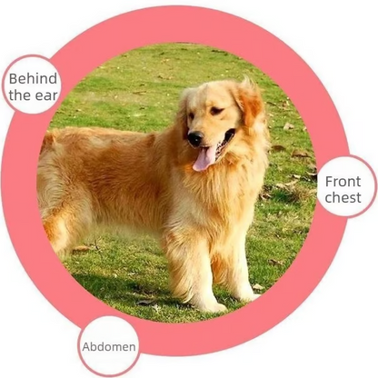 🐶 Universal Pet Detangling Comb